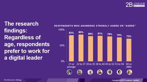 Comparative Analysis of B2B Digital Technology Adoption in China and the United States: Insights from Workshop Discussions